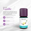 Baldini - Vanilla Extract BIO, 100% pure natural aroma of