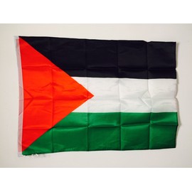 AZ FLAG Palestine Flag 2' x 3' for a Pole - Palestinian Flags 90 x 60 cm - Banner 2x3 ft with Hole Light Polyester