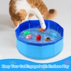 Cat Water Toy with 6 Floating Fish - Interactive Water