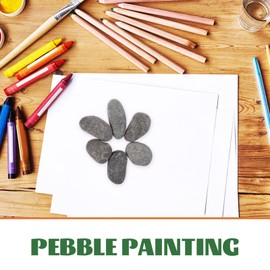 STOBOK 6pcs Decorative Pebbles for Painting Smooth Natural Stones for Arts and Crafts for Boys and Girls and Adults Hand- for Creative Projects