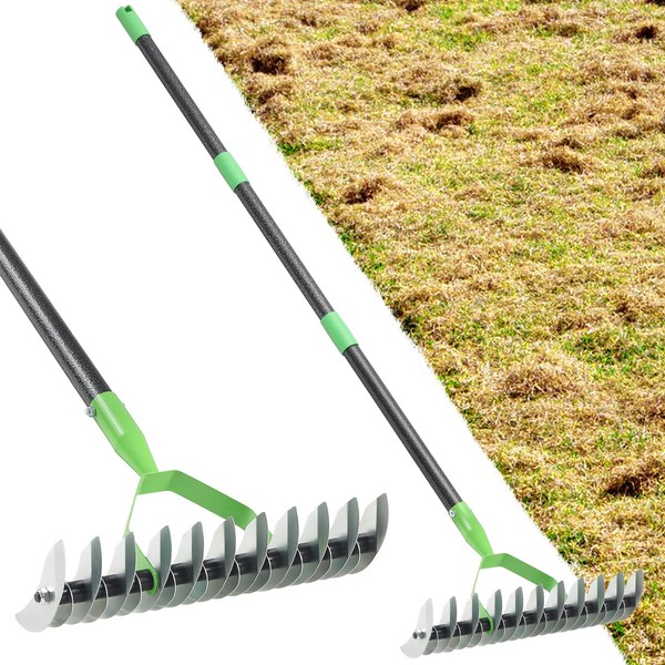 Thatch Rake, 2-in-1 Garden Dethatcher Rakes for Lawns Heavy Duty,