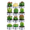 12 Velas de Cactus,Velas de té de Cactus, Decorativo Hecho