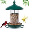Bird Feeder for Outdoors - 360° Feeding Perch. Green
