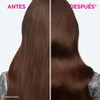 Kit LOréal Paris Elvive Tratamiento Ultra Gloss Glycolic Gloss 200