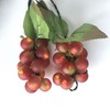keeda Solar String Lights with Vines, Waterproof 80 LED Grape