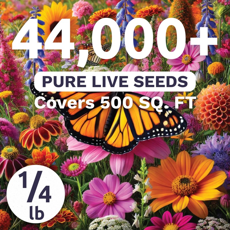 Monarch Butterfly Rescue Mix - Bulk 1/4 Pound Pouch -