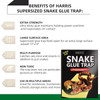 4 Pack 10" x 16" Large Snake Glue Traps with
