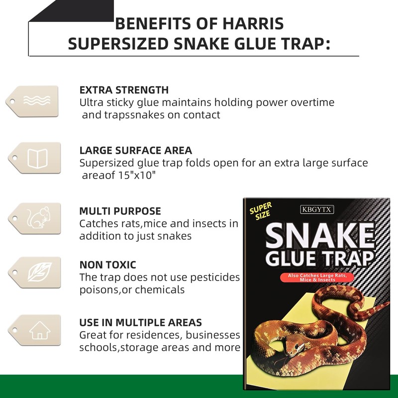 4 Pack 10" x 16" Large Snake Glue Traps with