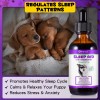 Suplemento Sueño Perro Melatonina Relajación Ansiedad Oimmal