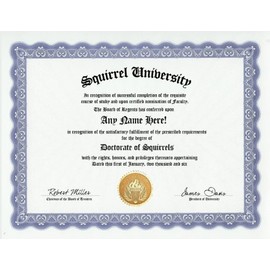 Squirrel Degree: Custom Gag Diploma Doctorate Certificate (Funny Customized Joke Gift - Novelty Item)