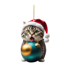 Cat Christmas Decorations Christmas Decoration Funny 2D Acrylic Christmas Tree Decoration Cat Funny Christmas Pendant Gift (H, One Size)