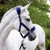 John Whitaker Unisex Club Headcollar and Lead Rope Set Navy