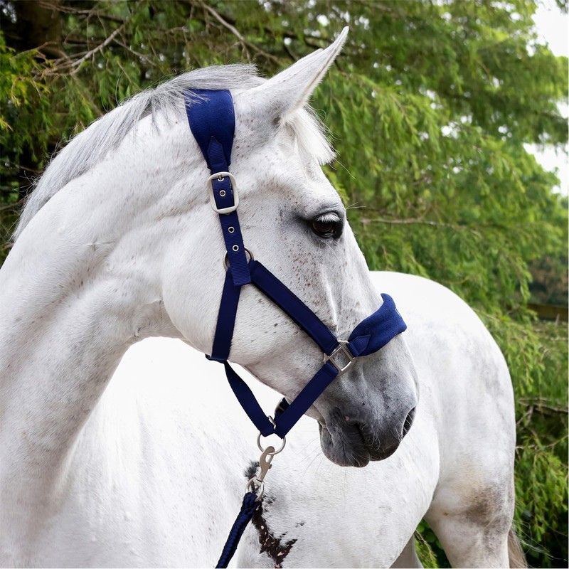 John Whitaker Unisex Club Headcollar and Lead Rope Set Navy