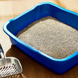 Lightweight and Scoopable Fresh Scent Clumping Cat Litter, 8.5 Lb Bag - The Ammonia-Control Formulation Contains Probiotics to Neutralize Malodors Naturally