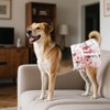 CuteBone Female Dog Diapers with Skirts 3 Pack Reusable Puppy
