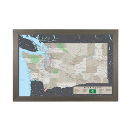 Washington - Earth Toned - Barnwood Gray Frame - 150 Pins Included - 27.5 inches x 39.5 inches