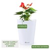 Dexceder 6x7 Self Watering Planter Indoor Outdoor, High Gloss Table