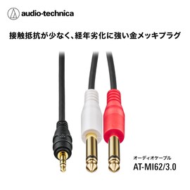 Audio-Technica Stereo Cable (φ0.14 inch (3.5 mm) Stereo Mini Plug to φ0.25 inch (6.3 mm) Mono Standard Plug x 2), 9.8 ft (3.0 m) Conversion Plug, AUX Cable, Audio Cable