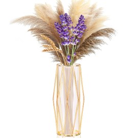 Gold Vases Decoration for Pampas Grass, Scandinavian High Floor Vase with Metal Frame for Wedding Centrepiece or Desk Office, 28 cm High