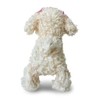 puremiamupapi- Plush Toy Poodle White