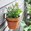 Sivya 6 Pack 4in Flower Pot Holder Ring Wall Mounted
