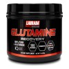 Glutamina 500 Grs 100 Serv Labrada Aminoacidos Es