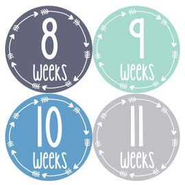 Months In Motion Pregnancy Weekly Belly Growth Stickers | Week to Week Pregnant Expecting Photo Prop | Maternity Keepsake | Baby Bump | Large Set of 36 Weekly Photo Sticker