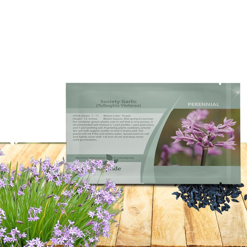 Outsidepride Society Garlic Seeds for Planting - 100 Pcs Perennial,