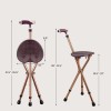 Bsrozki Folding Lightweight Walking Stick Cane with Seat Foldable Golf