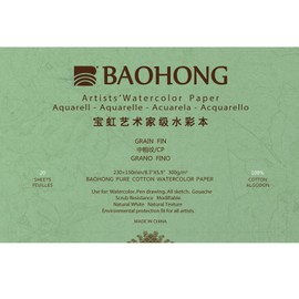 Baohong : Masters' : Pure Cotton Watercolour Paper Block : Thomas W Schaller : 300gsm : 20 Sheets : 15x23cm (Apx.6x9in) : Medium