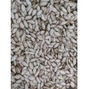 Unbranded 50 SEMILLAS DE PIPIAN CRIOLLO SALVADOREÑO