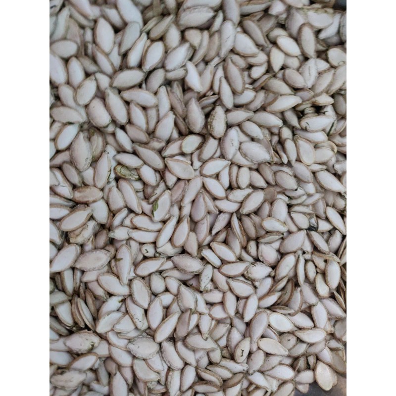 Unbranded 50 SEMILLAS DE PIPIAN CRIOLLO SALVADOREÑO