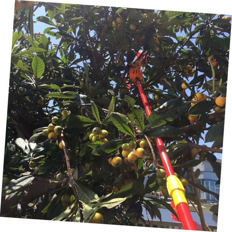 Parliky Set of 2 Cherry Pickers, Adjustable Berry Picker, Mango