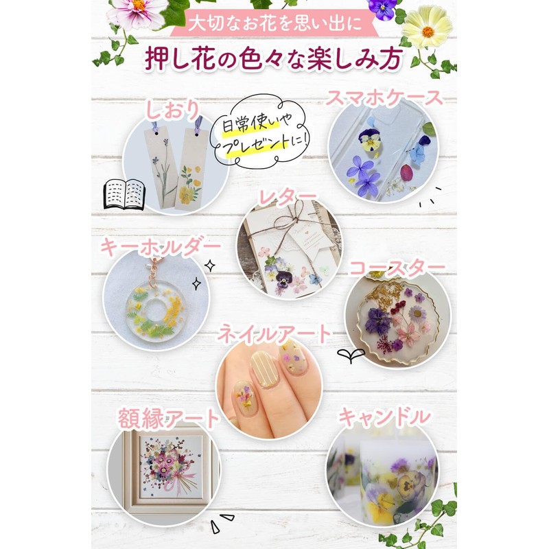 Dream Irokaden Pressed Flower Kit, Pressed Flowers, Drying Sheet, For