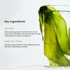 Biodance Refreshing Sea Kelp Real Deep Mask - 1 Piece