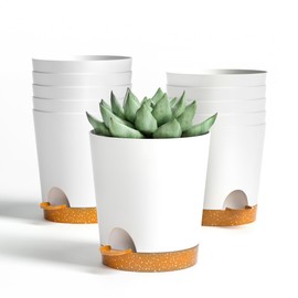 Lotyeter 4 inch Small Plant Pots for Outdoor Indoor Plants, 10 Pack Planters with Drainage Holes and Tray, Small Self Watering Pots for Succulent,Cactus, Aloe and Other Plants. (White)
