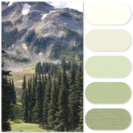 jinchan Small Stall Shower Curtain 48x72 Inches Ombre Forest Green Striped Shower Curtains for Bathroom Gradual Color Waterproof Fabric Minimalist Modern Neutral Luxury with 8 Hooks