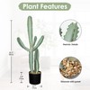 DILATATA 35.4” Tall Fake Cactus Plant Potted Large Cactus Euphorbia