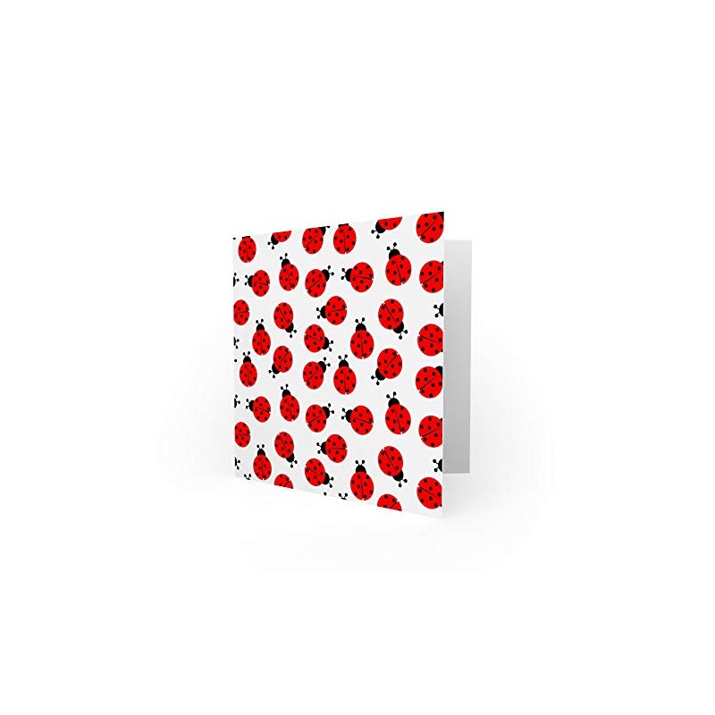 Ladybug Birthday Card - Spotty Ladybird