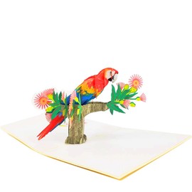 POP CARD EXPRESS Colorful Parrot Pop Up Birthday Card - Happy Birthday Pop Up Card for son, daughter, wife, friends, Nature, Wild Animal, Bird lovers