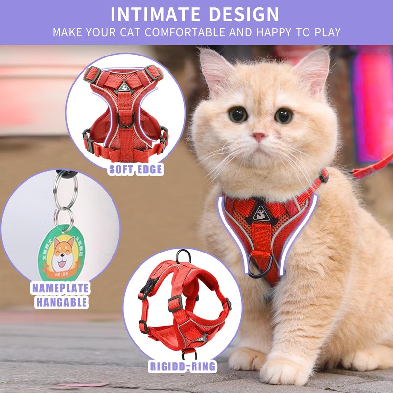 Tikxlafe Cat Harness with Leash, 150 cm, Cat Leash with