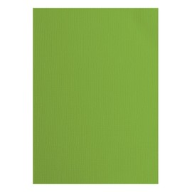 Florence Cardstock Textured - Coloured Card Making Supplies A4 - Green - 10 Sheets - Coloured Paper for Scrapbooking, Card Making, Die Cutting and Paper Crafts - 216 GSM - Frog