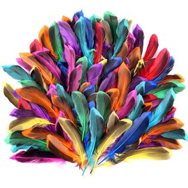 SUNRIZ Feathers for Crafts, Pack of 150 Colourful Feathers, Natural Feathers, Decorative Craft Feathers for DIY Earrings, Wedding, Dream Catcher, Headdress Feathers, School Crafts