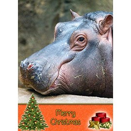 Hippo Christmas Card 'Merry Christmas' - Special Xmas Card for Him Her Kids Male Female