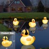 Floating Solar Pool Lights, 16 inch Waterproof Pool Lights that