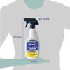 ZORBX Extra-Strength Stain & Odor Remover Spray 24 oz -