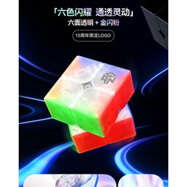GAN 251 Leap UV (10th Version) 2x2 Magic Cube Magnetic Speed Cube GAN251 Leap Magic Puzzle Stickerless 2x2x2 Goose Cubes