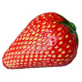 PLAY WOOD Fruit Shaker