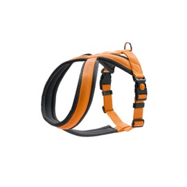 HUNTER LONDON Comfort Harness, Orange, S-M/2