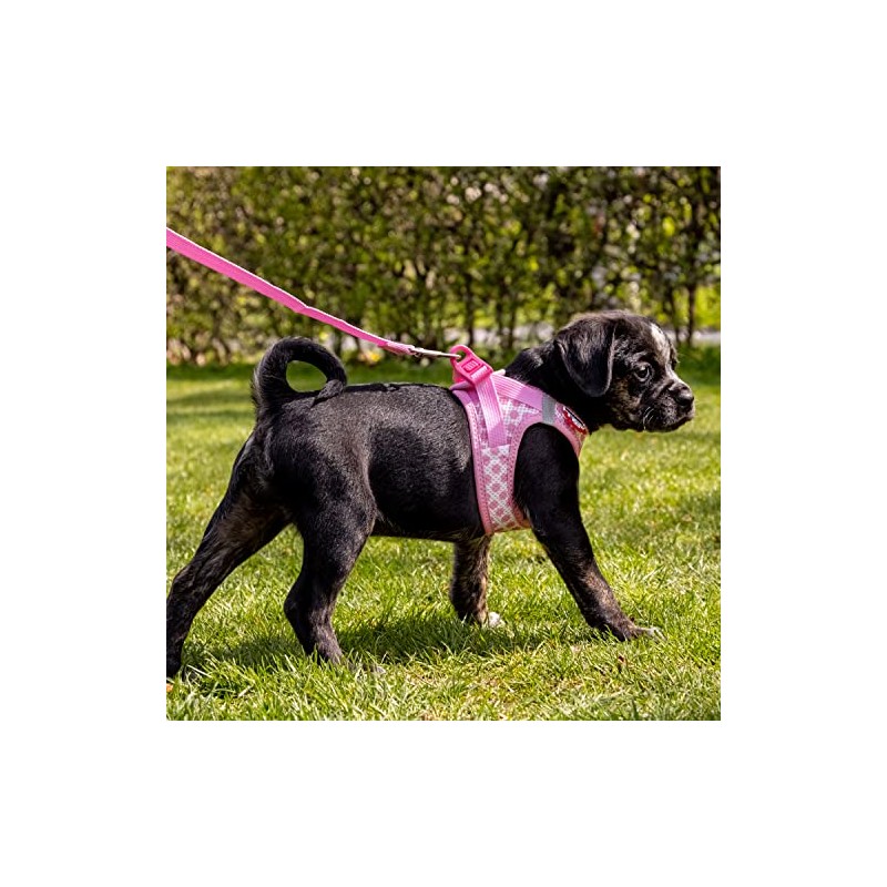 Vest Harness Curli Clasp Air Mesh Pink-Circles 2XS & Leash